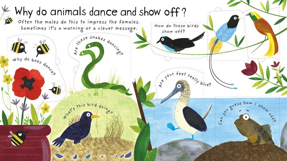 First Questions and Answers: How Do Animals Talk? : Usborne