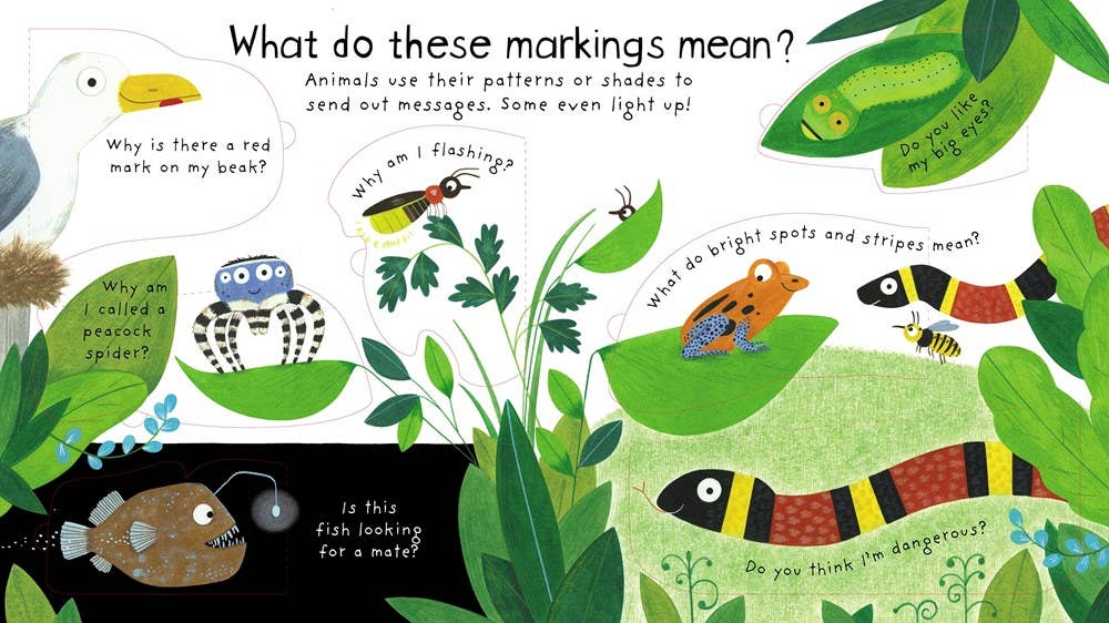 First Questions and Answers: How Do Animals Talk? : Usborne