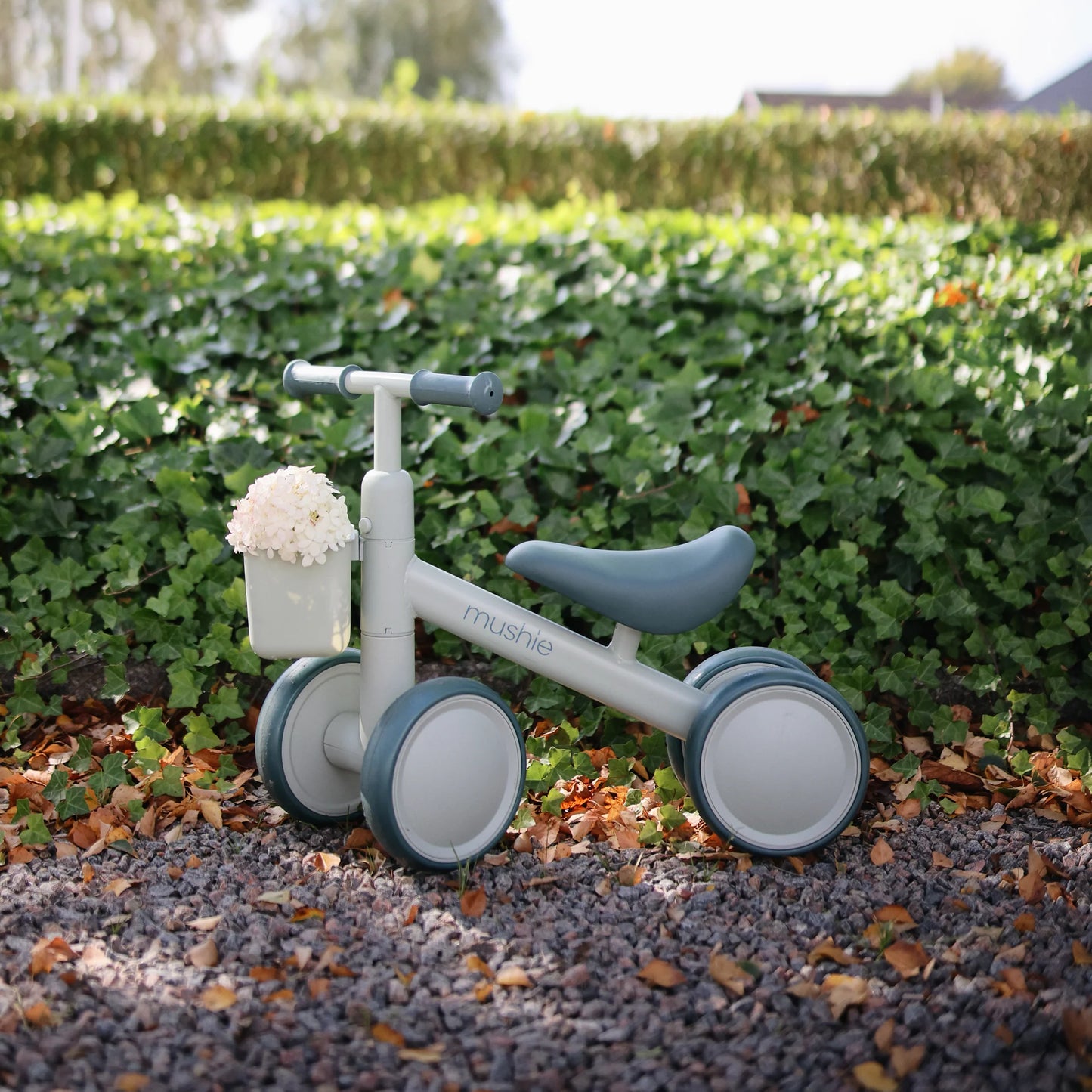 Mini Toddler Bike - Sage
