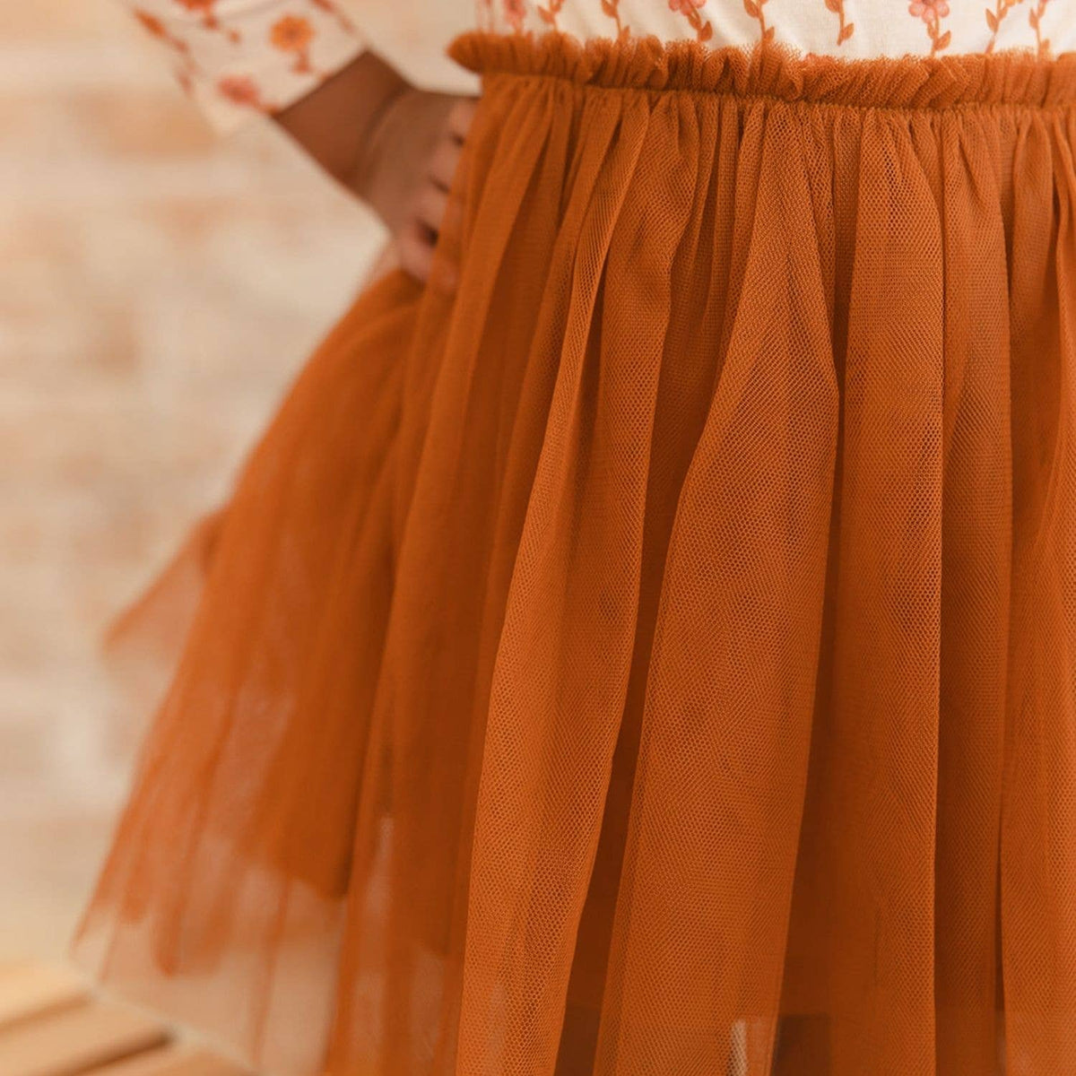 Cinnamon Long Sleeve Tutu Dress