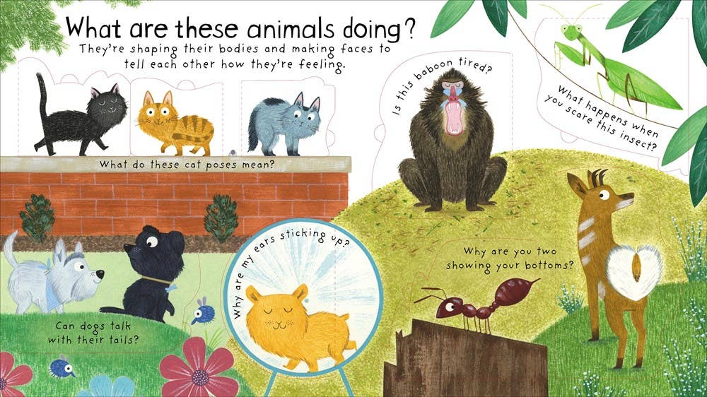 First Questions and Answers: How Do Animals Talk? : Usborne