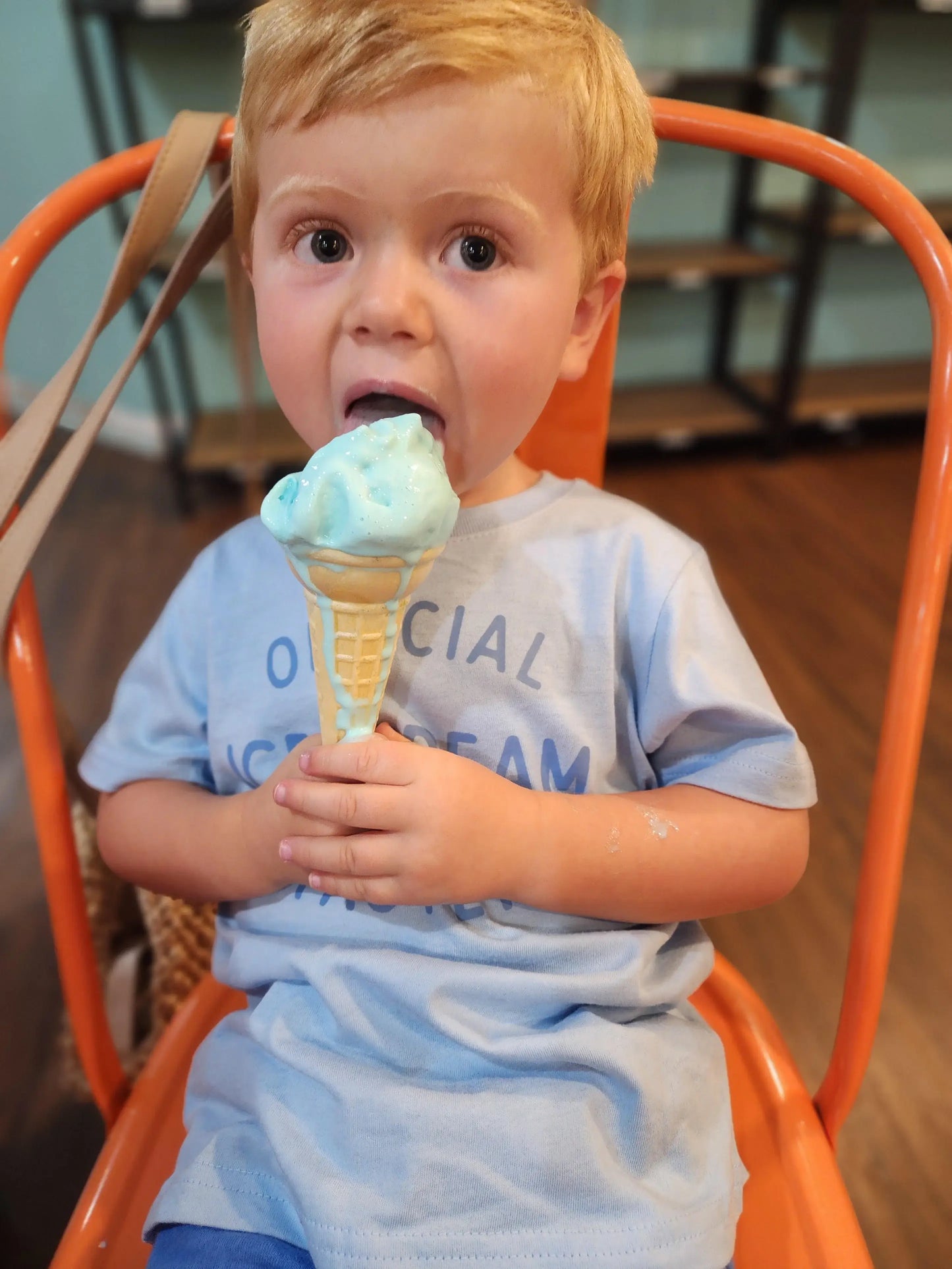 Kids Summer T-Shirt, Official Ice Cream Taster tee